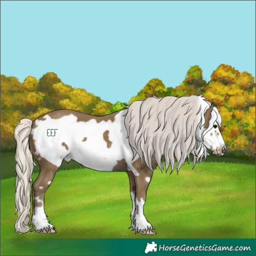 Horse Color:Silver Smoky Black Frame