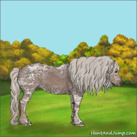 Horse Color:Silver Black Ice