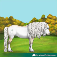 Horse Color:Silver Buckskin Dun Frame 