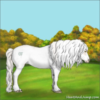 Horse Color:Silver Amber Champagne Ice Sabino Rabicano 