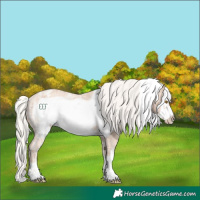 Horse Color:Silver Classic Champagne Ice Frame Appaloosa Rabicano
