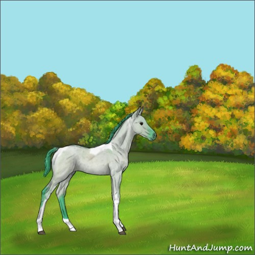 Horse Color:Watercolor Smoky Grullo Roan Tobiano Rabicano 