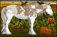 Horse Color:Liver Red Dun Sabino Splash  Brindle