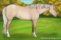 Horse Color:Silver Brown Pearl Dun Sabino 