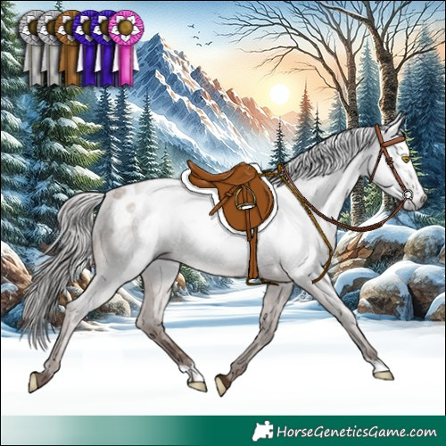 Horse Color:Gray Sable Champagne Appaloosa 