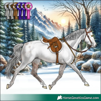 Horse Color:Gray Sable Champagne Appaloosa 