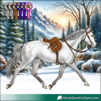 Horse Color:Gray Sable Champagne Appaloosa 