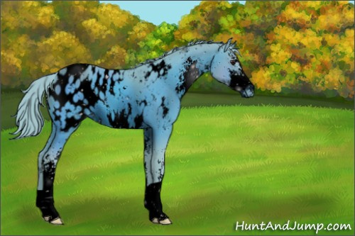 Horse Color:ERROR: UNKNOWN ANOMALY