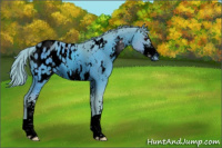 Horse Color:ERROR: UNKNOWN ANOMALY