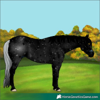 Horse Color:ERROR: UNKNOWN ANOMALY