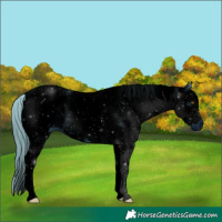 Horse Color:ERROR: UNKNOWN ANOMALY