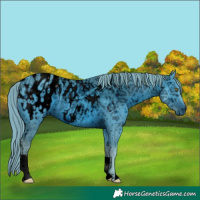 Horse Color:ERROR: UNKNOWN ANOMALY