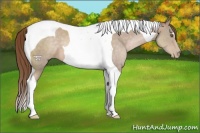 Horse Color:Brown Pearl Tobiano 