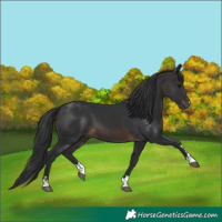 Horse Color:Brown Mushroom
