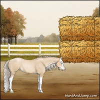 Horse Color:Palomino Pearl Splash
