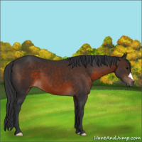 Horse Color:Brown Mushroom 