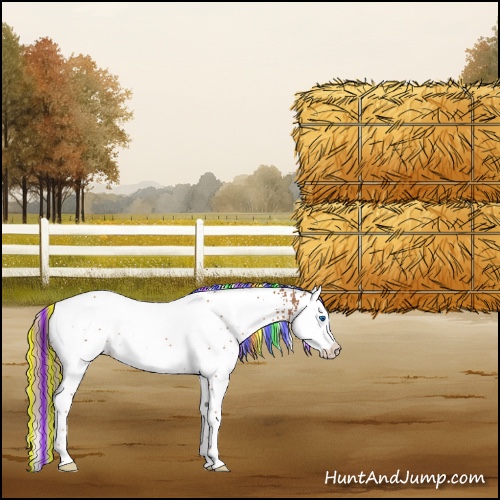 Horse Color:Painted White Spotted Chestnut Splash 
