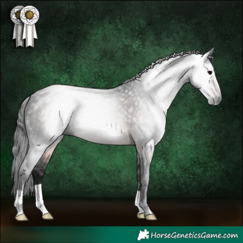 Horse Color:Gray Brown 