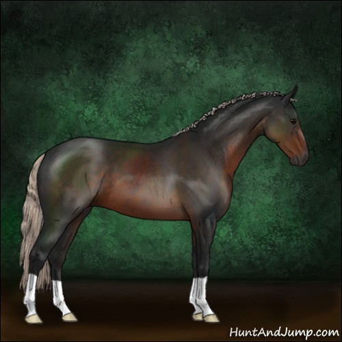 Horse Color:Gray Silver Brown 