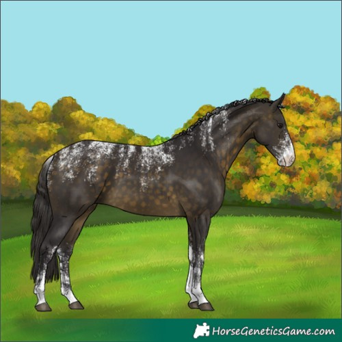 Horse Color:Powder White Buckskin