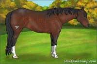 Horse Color:Brown 