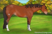 Horse Color:Brown 
