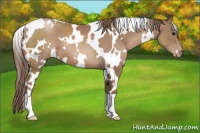 Horse Color:White Spotted Black Pearl