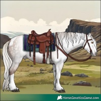 Horse Color:Gray Silver Black Pearl Tobiano 