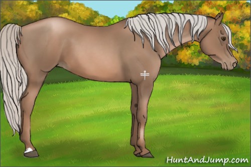 Horse Color:Silver Black Pearl 