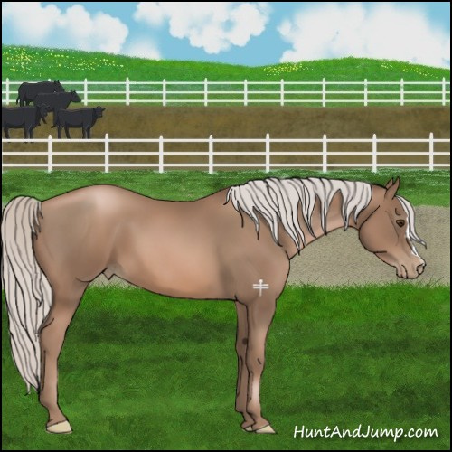 Horse Color:Silver Black Pearl 