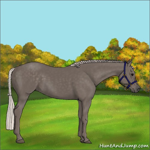 Horse Color:Silver Black 