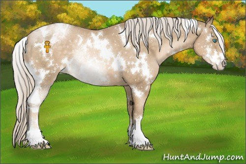 Horse Color:White Spotted Chocolate Palomino Pearl Sabino Appaloosa 