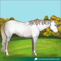 Horse Color:Gray Liver Chestnut Ice
