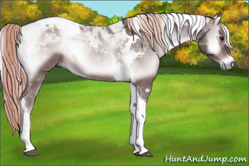Horse Color:Platinum Red Onyx Tobiano 