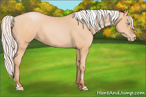 Horse Color:Silver Buckskin Pearl Tobiano 
