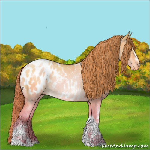 Horse Color:White Spotted Brown Pearl Dun Tobiano Appaloosa 