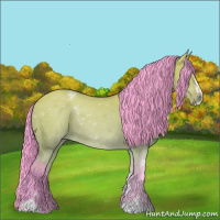 Horse Color:Watercolor Bay Dun Sabino 