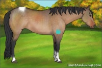 Horse Color:Brown Dun Sabino Tobiano