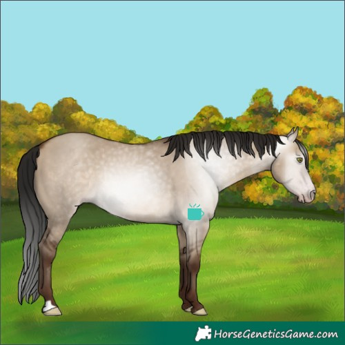 Horse Color:Gray Sable Champagne Dun 
