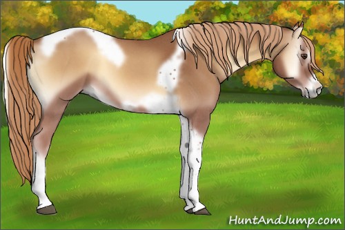 Horse Color:Red Onyx Roan Tobiano Frame 