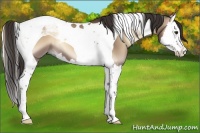 Horse Color:Liver Red Dun Onyx Splash Tobiano 