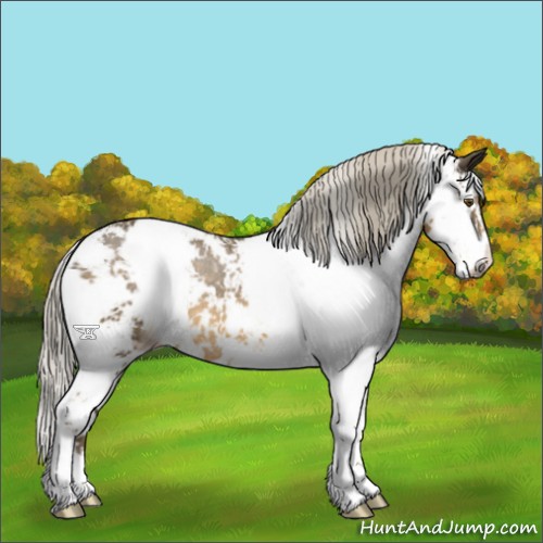 Horse Color:Chocolate Palomino Mushroom Sabino Rabicano 