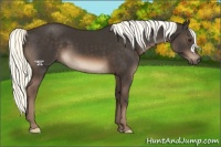 Horse Color:Liver Chestnut Mushroom 