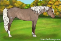 Horse Color:Liver Red Dun Mushroom 