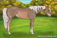 Horse Color:Chestnut Mushroom 