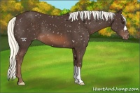 Horse Color:Liver Chestnut Mushroom Snowflake Varnish 