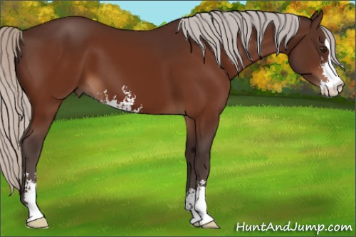 Horse Color:Silver Brown Sabino