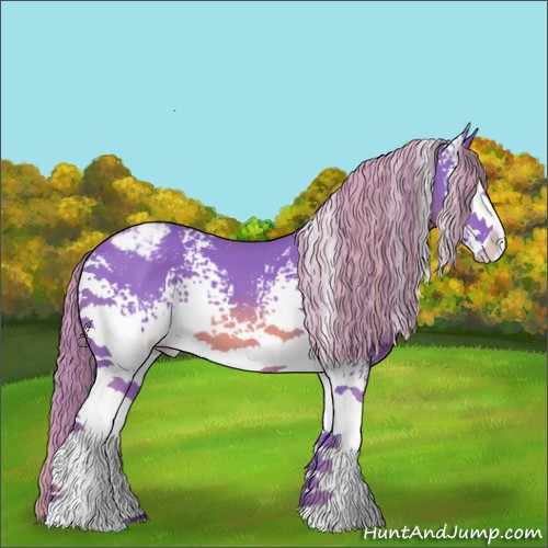 Horse Color:Watercolor White Spotted Chestnut Appaloosa 
