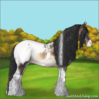Horse Color:Brown Onyx Sabino Tobiano Varnish Rabicano 