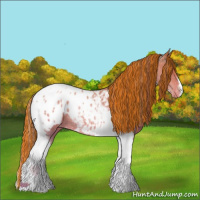 Horse Color:Painted Bay Pearl Tobiano Appaloosa 